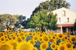 Гостиница Podere Le Querce  Роккастрада